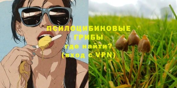 каннабис Арсеньев