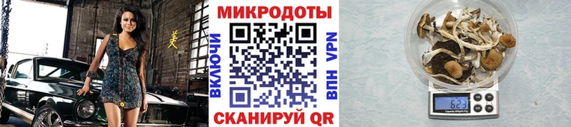 Псилоцибиновые грибы Cubensis  Хадыженск 